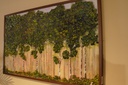 TH-23 لوحة رسم اشجار
