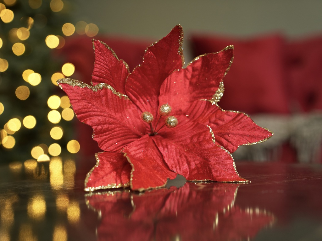 PCH-21 وردة قماش حمراء بذهبي