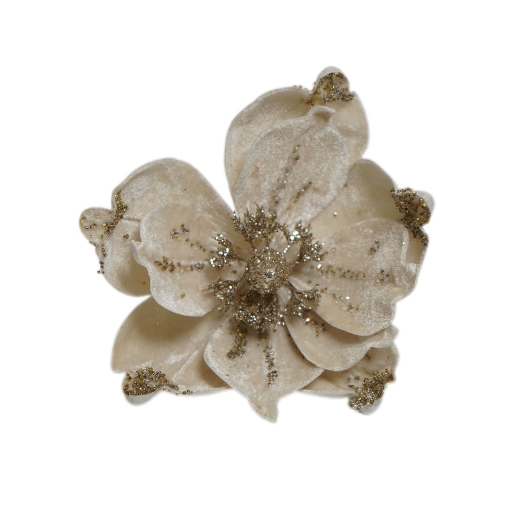 PCH-22 وردة قماش بيجي