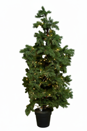 OCH-247-13 شجرة خضراء بانارة/سندادنة