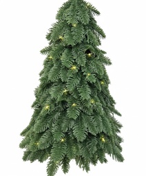 OCH-247-18 شجرة خضراء صغيرة بانارة